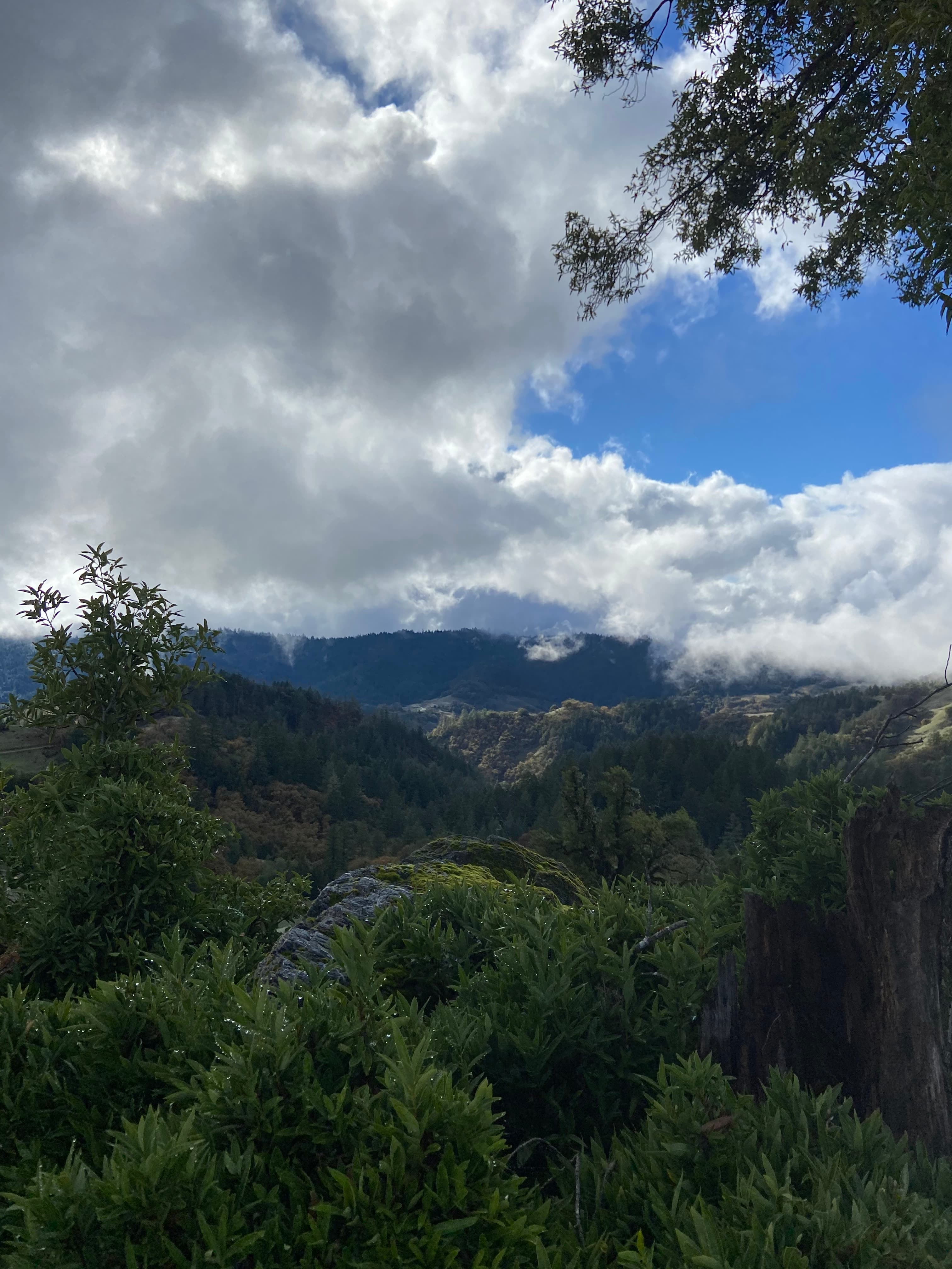 Lush green foliage overlooks a vast mountain range under a dramatic, cloud-filled blue sky.